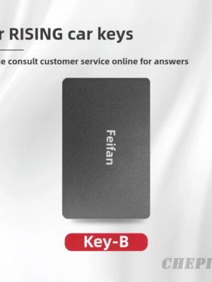 rising card key case cover