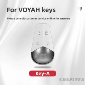 Metal car key case for Voyah