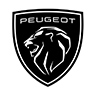 Peugeot Car key cover