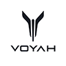 Voyah Car key cover